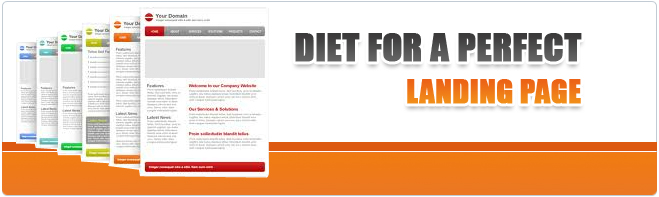 Diet for a Perfect Landing Page by a Web Design Company