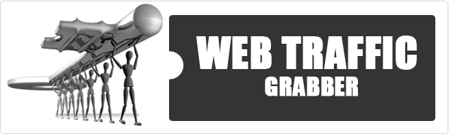 Web Traffic Grabber with simple directions!