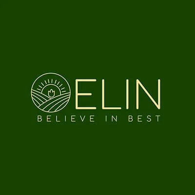 Elin Logo Design