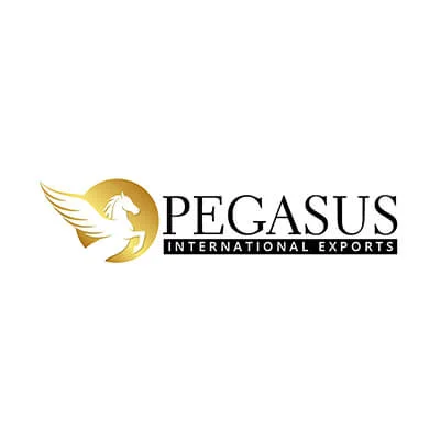 Pegasus Logo Design